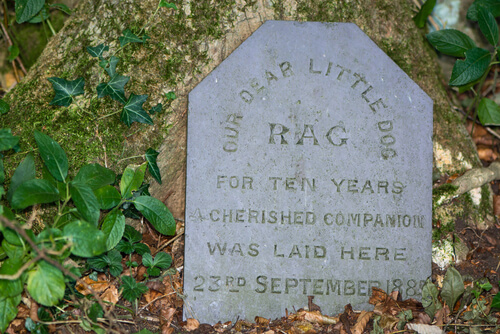 Tombstone for a dog