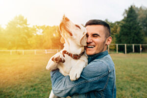 El perro: el mejor amigo del hombre