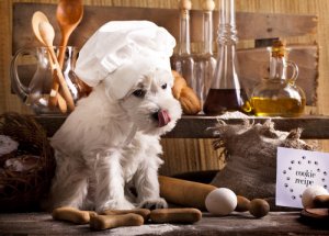 Tres recetas para dietas BARF