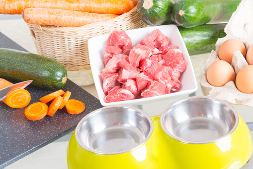 Recetas para dietas BARF de perros: cantidades
