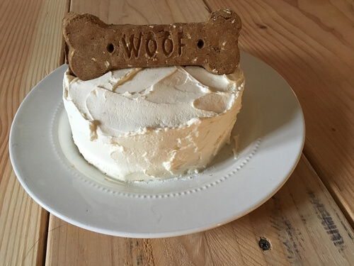 Homemade cake for dogs