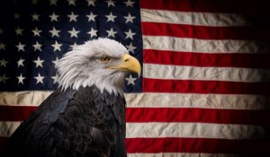 5 aves nacionales de América
