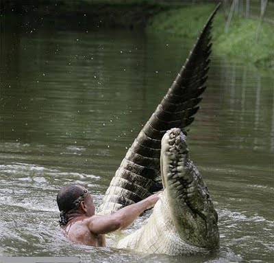 Amistad de un hombre y un cocodrilo.
