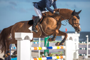 11 deportes ecuestres