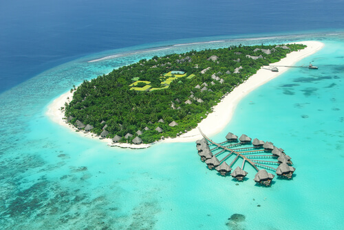 Coral de las islas Maldivas.