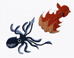 ¿Cuáles son las diferencias entre pulpo y calamar?