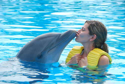 Entrenador de delfines