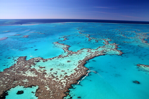 Gran barrera de coral de Australia