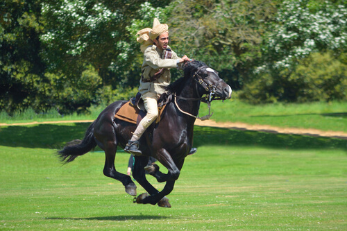 Juego de piquetas con caballos