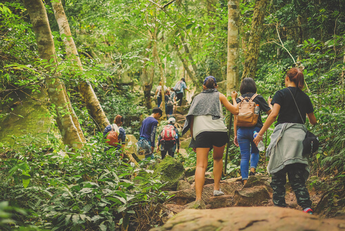 Parques naturales: normas