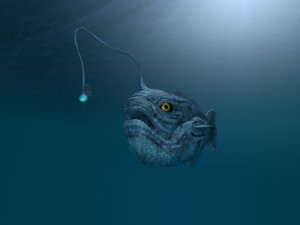 13 Animales que viven en las profundidades marinas
