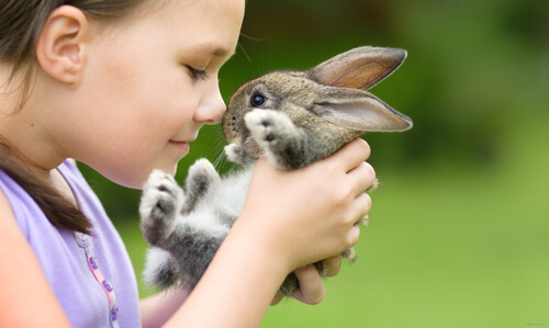 Actividades con conejos para niños