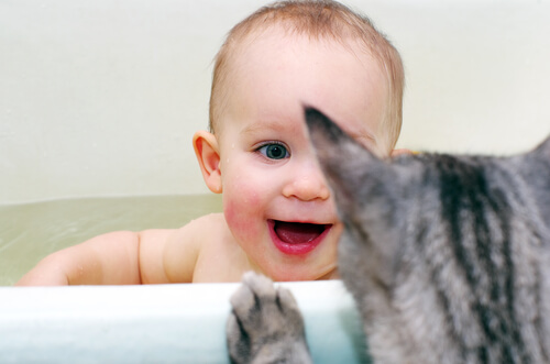 ¿Pueden vivir juntos los gatos y los bebés?