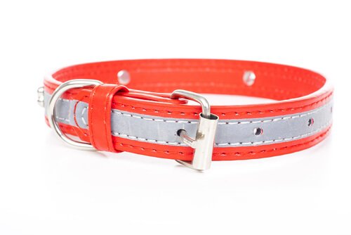 Collares para perros bonitos