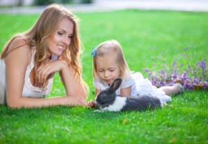 Consejos para jugar con tu conejo