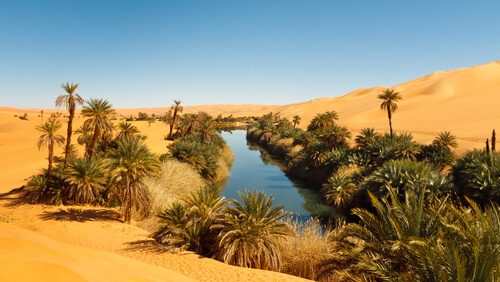 Geografía del desierto del Sáhara.