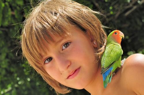 Indissociable : les oiseaux