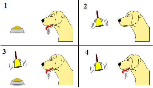 Iván Pavlov: perro y campana