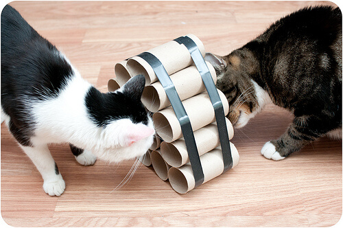 Juegos para gatos caseros con tubos de cartón.