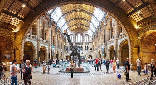5 mejores museos de historia natural 5 mejores museos de historia natural