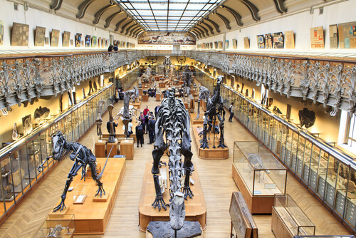 Museo Nacional de Historia Natural de París