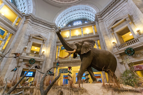Museo Nacional Smithsonian