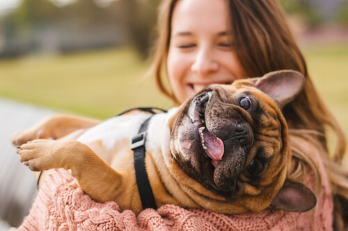 Qué hacer si mi perro tiene la piel irritada