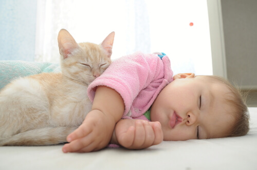 Vivir juntos los gatos y los bebés