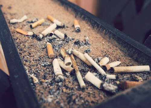 ¿Qué tanto afecta el humo del tabaco a las mascotas?