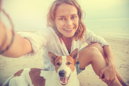 Cómo fotografiar perros