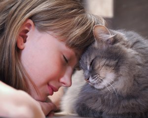 ¿Cómo demostrar a tu gato que le quieres?