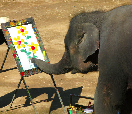 Elefante pintor en Tailandia