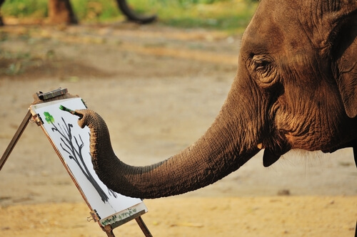 Elefantes que pintan: ¿maltrato animal?
