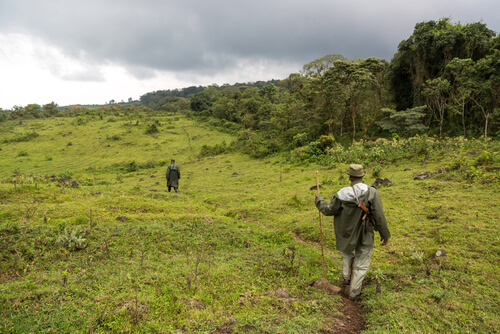 Parque Nacional de Virunga: África