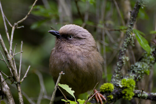 Parque nacional Jiuzhaigou de China