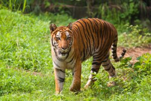 5 parques nacionales de Asia imperdibles