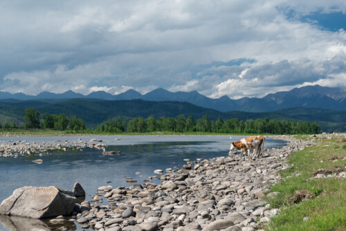 Parque nacional Tunkinsky