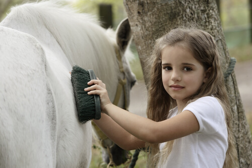El pelaje de tu caballo: cepillado y alimentación