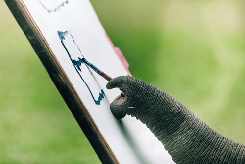 Un elefante puede pintar