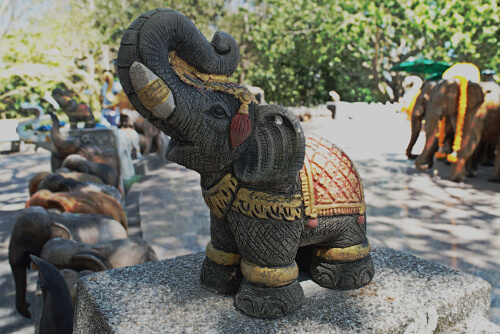Animales considerados de buena suerte: elefante