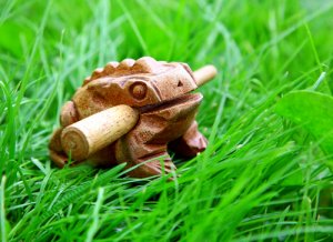 5 animales considerados de buena suerte