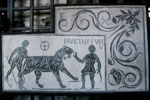 Animales en la Antigua Roma: guerras y sacrificios
