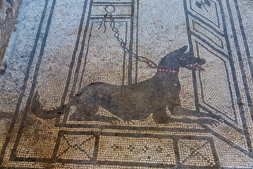 Animales en la Antigua Roma: mascotas
