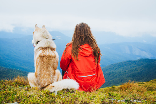 Aventura con perros