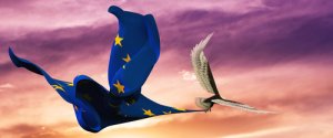 5 aves nacionales de Europa