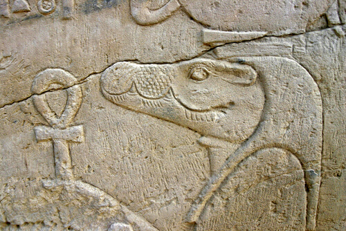 Cocodrilo del Antiguo Egipto