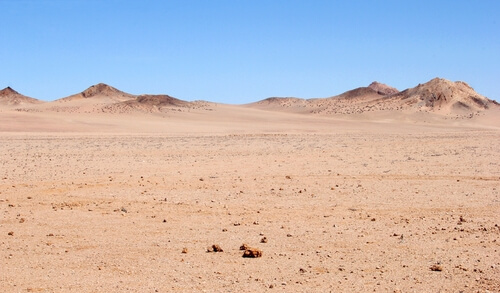 Ecosistema del desierto