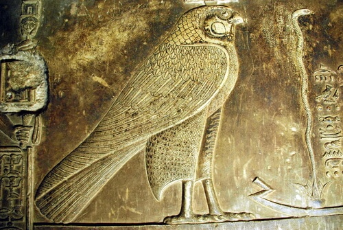 Halcón egipcio: significado