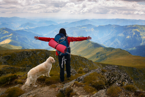 Ir a la montaña con perro