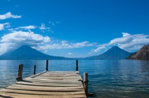 Lagos y pantanos, ¿es el mismo hábitat para seres vivos?